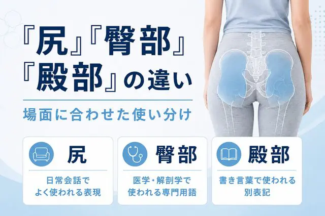 臀部とはどこ？医療現場で使う正しい意味と使い分け | 湘南カイロ 